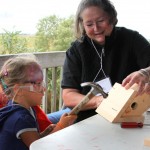 Bird houses2