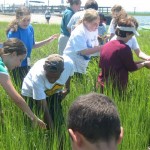 fieldWork
