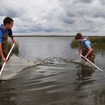 seining