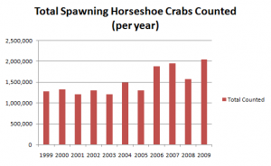 Total number of spawning horseshoe crabs counted on twenty five key Delaware Bay beaches (per year)