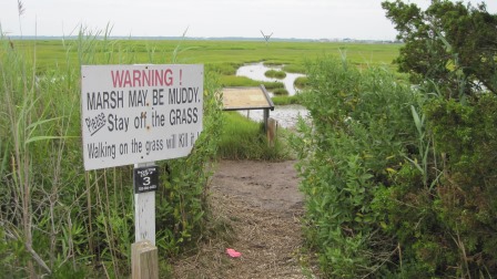 Salt Marsh Trail Mapping Photos (16) - The Wetlands Institute