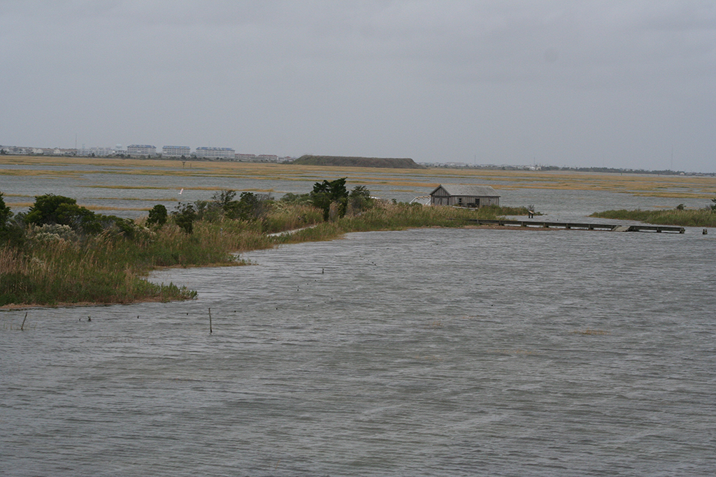 Storm Tide on the Marsh