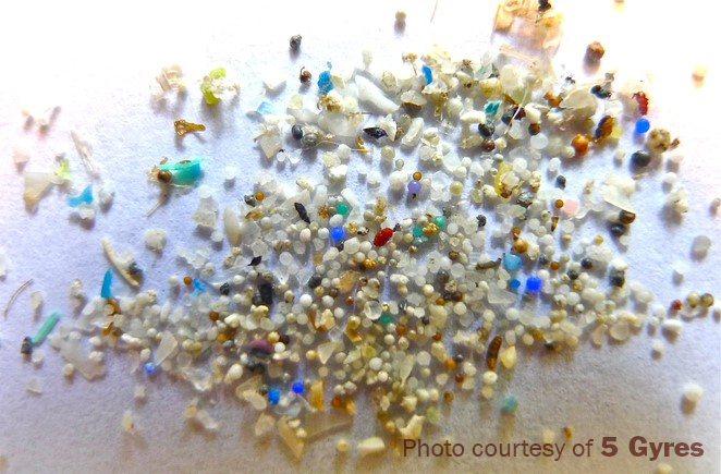 Sample of microplastics collected from the ocean environment. 