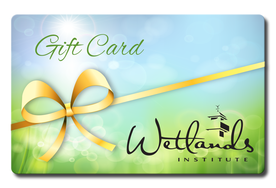 Gift-card-picture-1