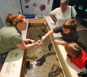 aquarium-teaching-touch-tank-wetlands-institute
