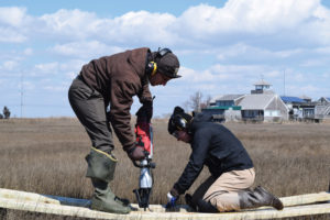 installing marsh elevation monitoring stations at The Wetlands Institute