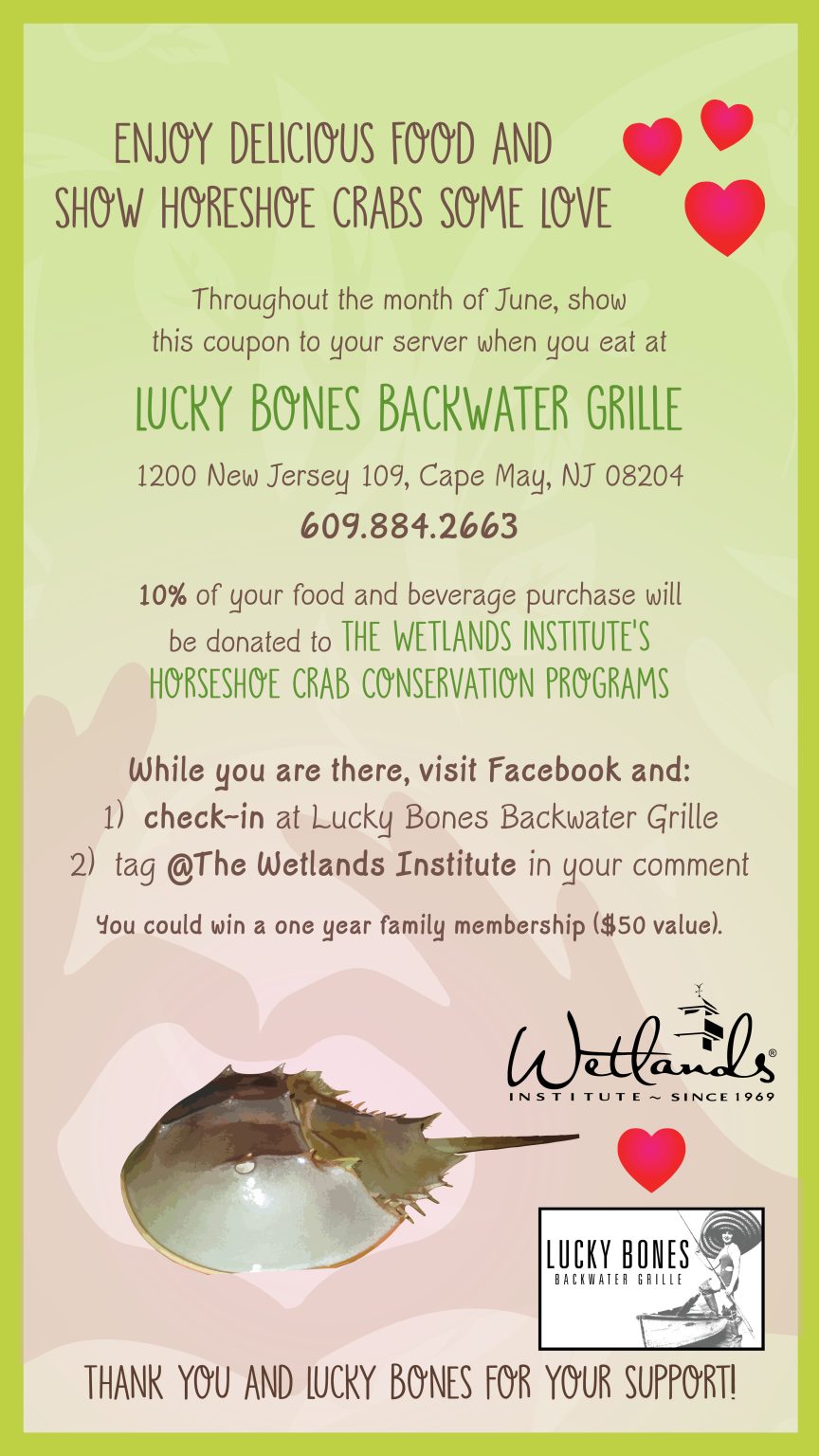 Show Horseshoe Crabs Some Love The Wetlands Institute